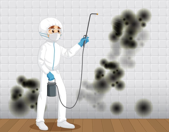 Mold-and-Mildew-Treatment